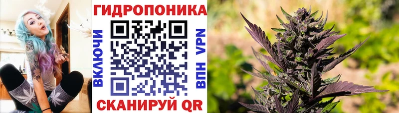 гидра   Кудымкар  Каннабис MAZAR 